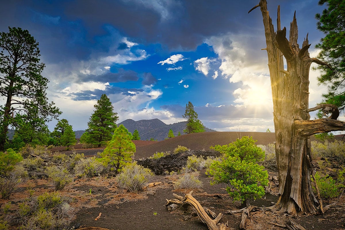 Cinder Hills OHV Area near Flagstaff, Arizona.