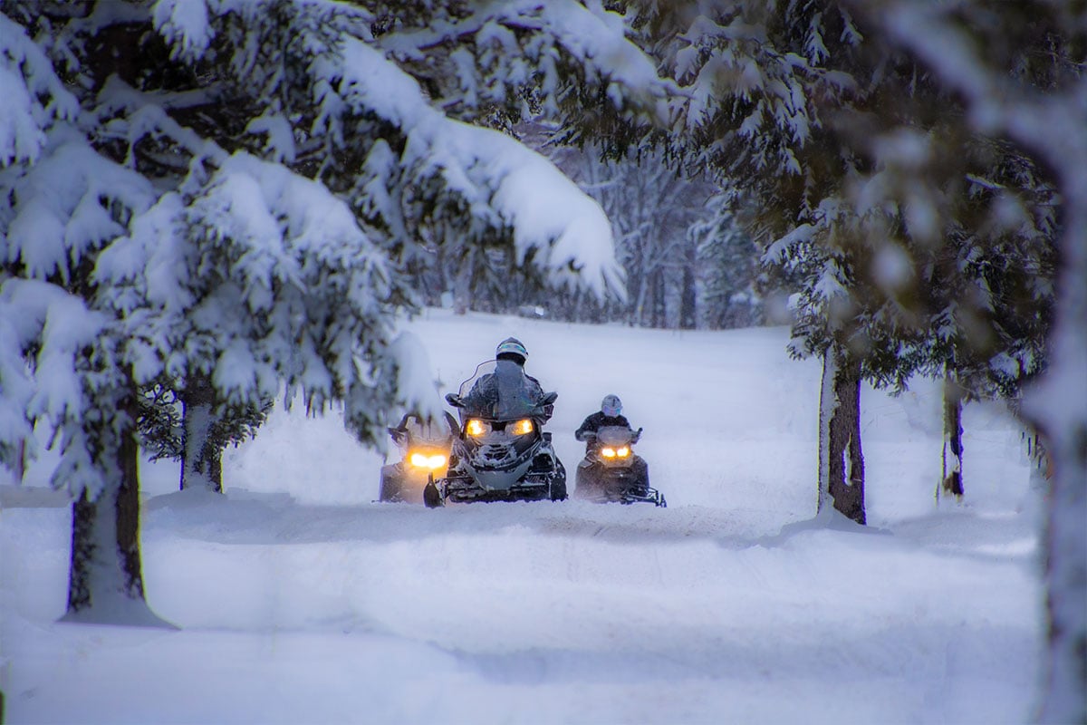 Three snowmobilers riding through a snowy forest in Canada.