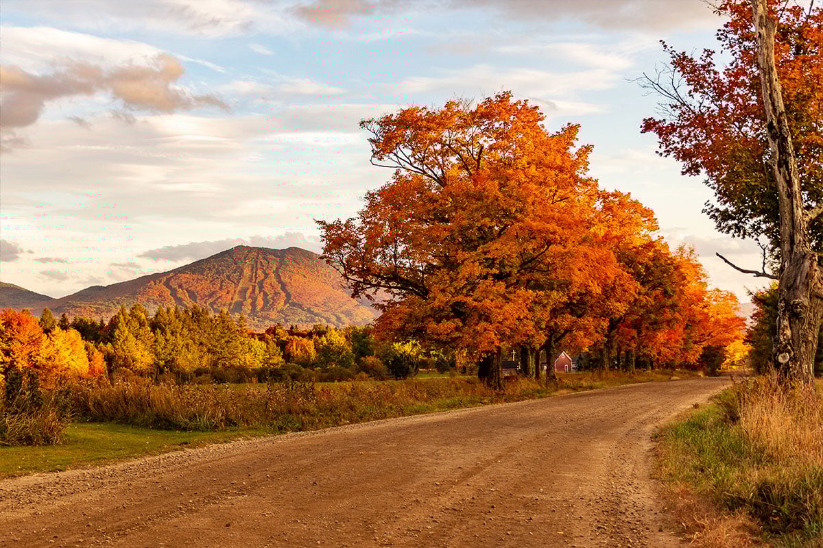Road to Burke Mountain in Vermont's Northern Kingdom, a great place for mountain biking.