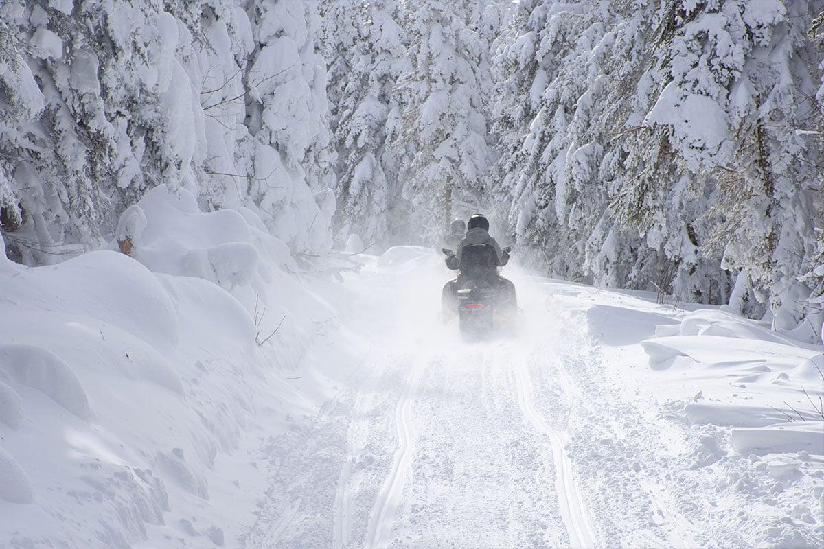 Snowmobilers driving away on a snowy trail amid deep snowy forest in Quebec