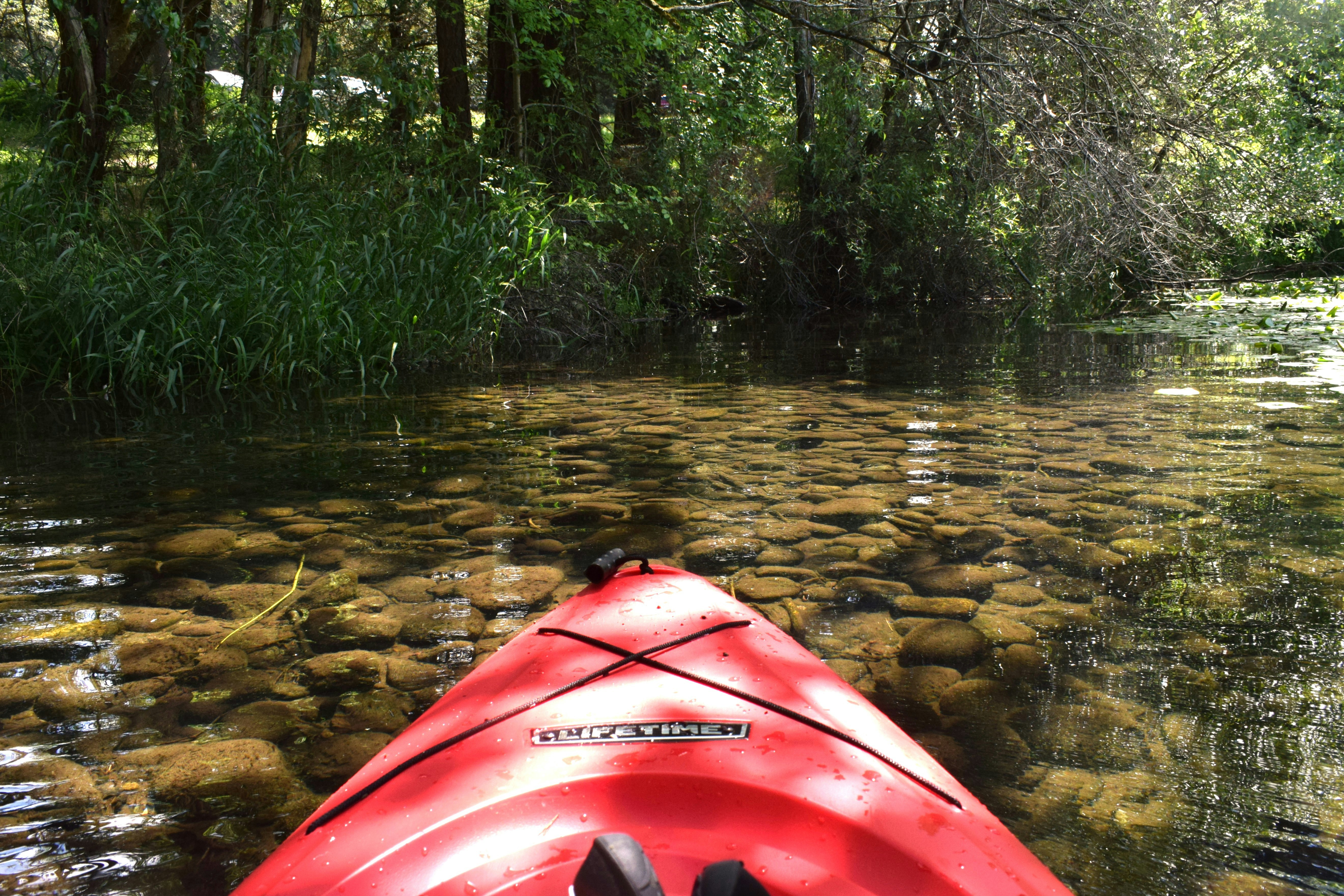 The nose of a red kayak in shallow, clear water in Tacoma, Washington, USA - Photo by fr0ggy5 (Unsplash)
