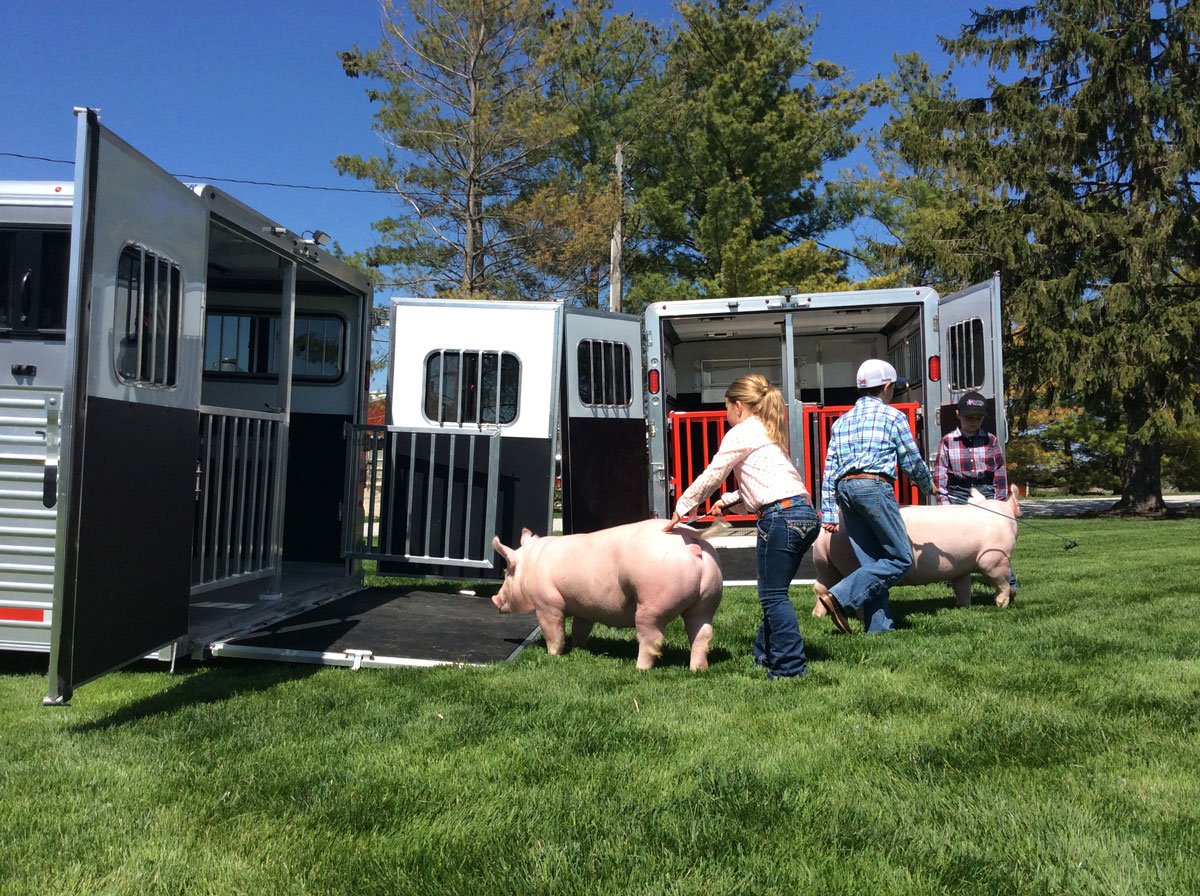 Three children getting ready to lead show pigs into Frontier aluminum trailers