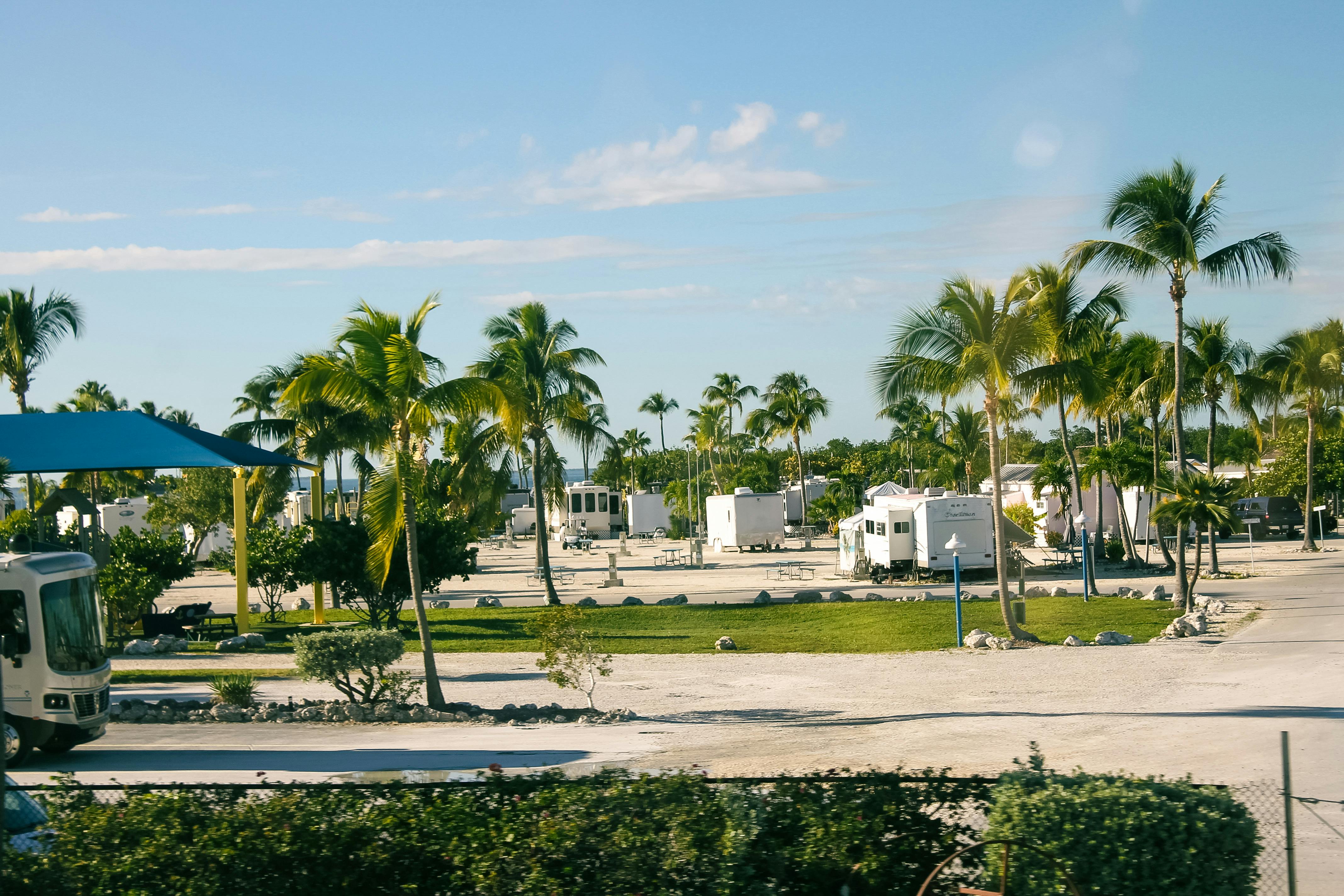 A tropical RV park with power hookups and palm trees surrounding campers and trailers - Photo by Gulru Sude
