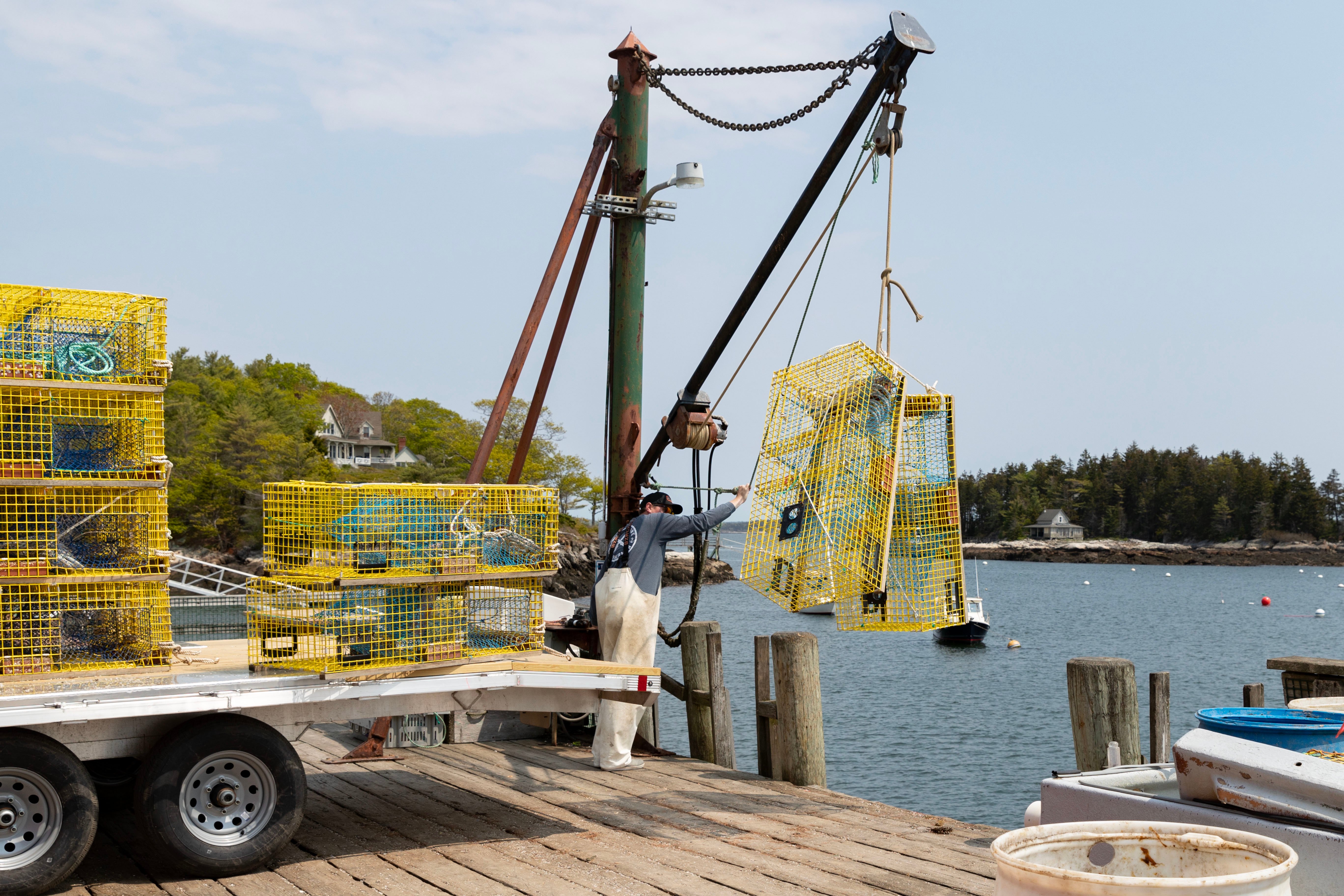 A lobsterman in Maine hauling traps onto an open aluminum utility trailer by ALCOM on a summer day