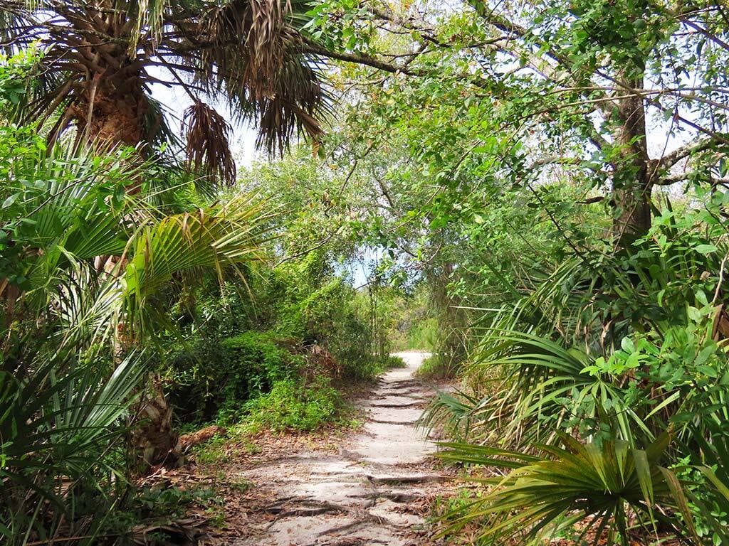 A scenic walking trail at Wickham Park; PC brevardfl.gov