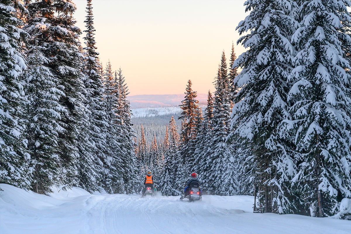 Two snowmobiles riding through a snowy trail between tall pines in Canada.
