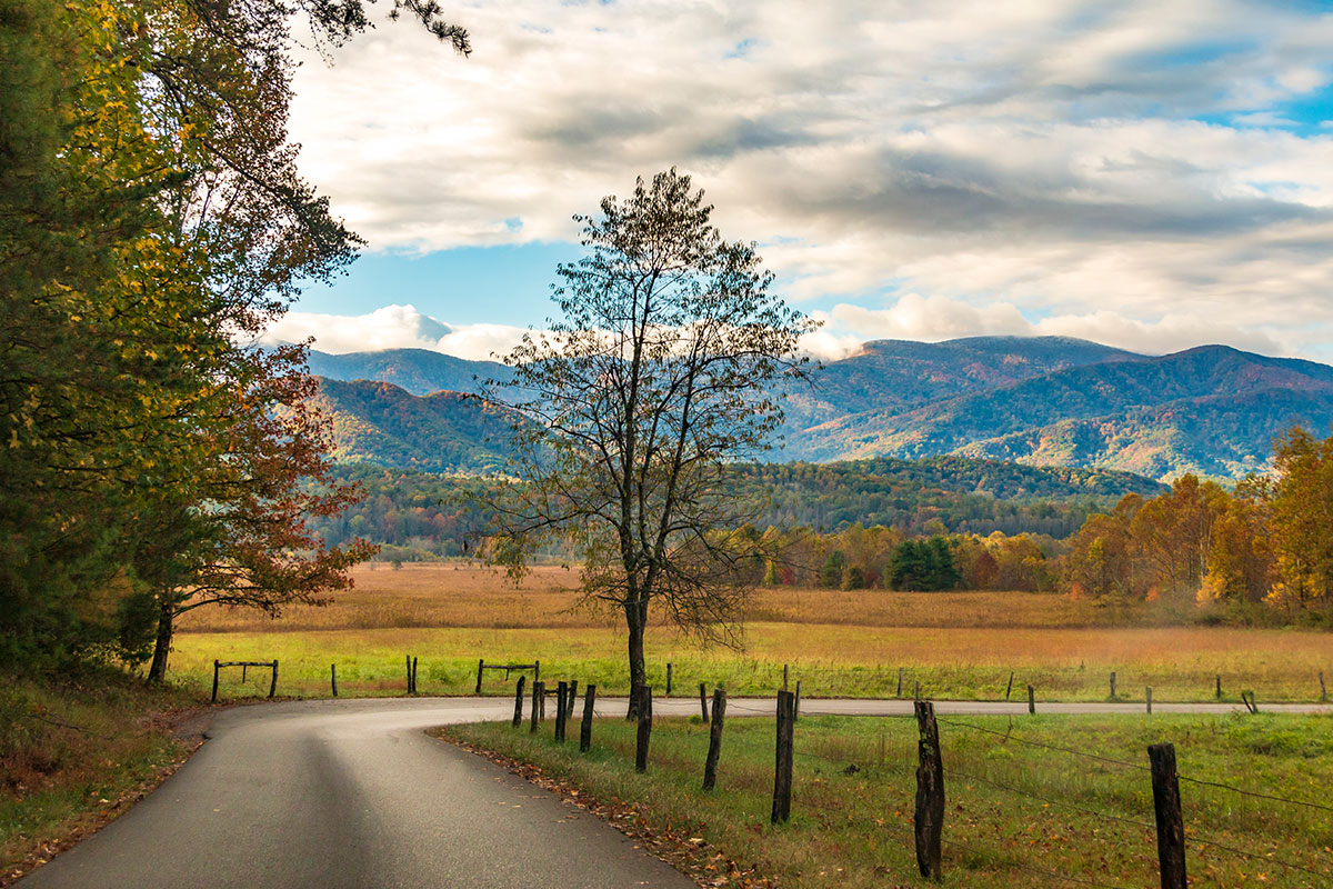 Driving through the Great Smoky Mountains national park in the Southeastern USA