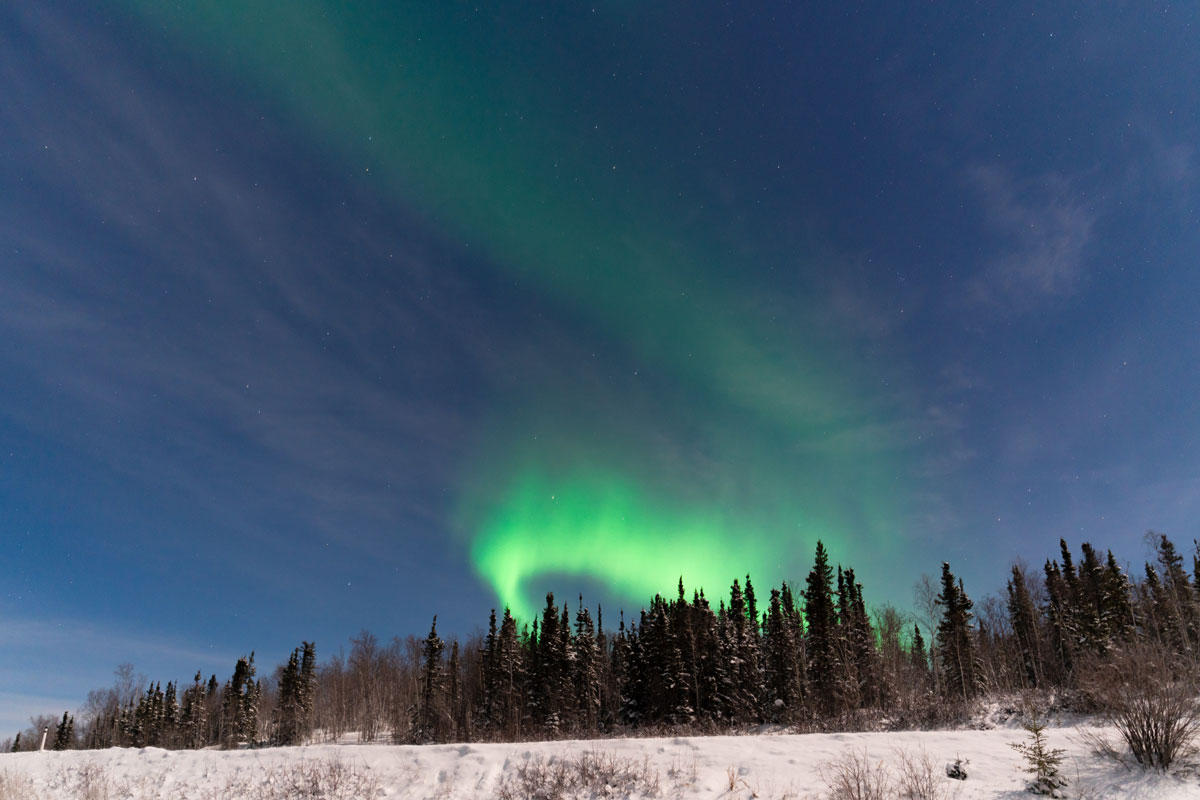 The Northern Lights over a snowy landscape near Yellowknife, Canada