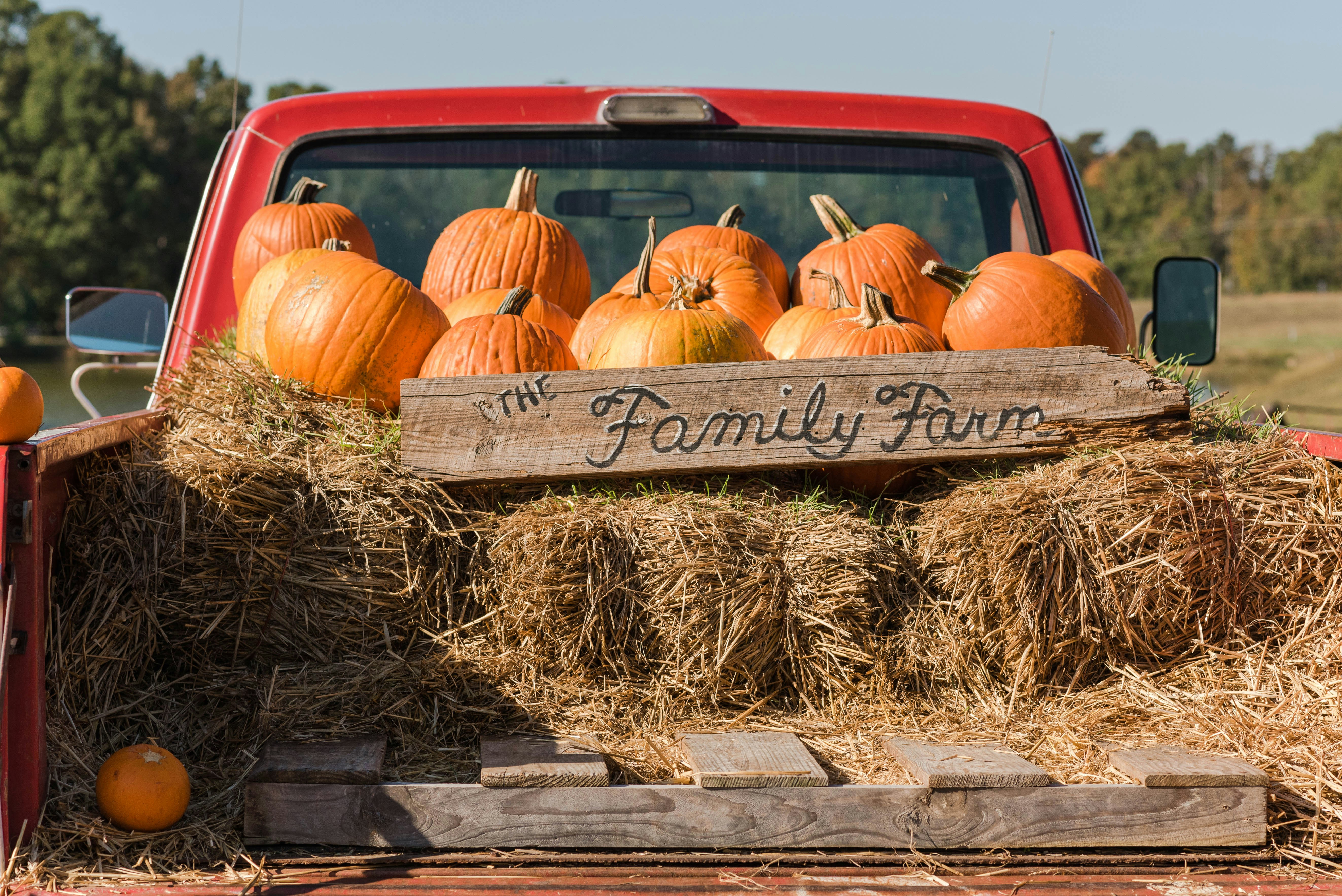 The bed of a red pickup filled with hay bales, pumpkins and a wooden sign reading The Family Farm