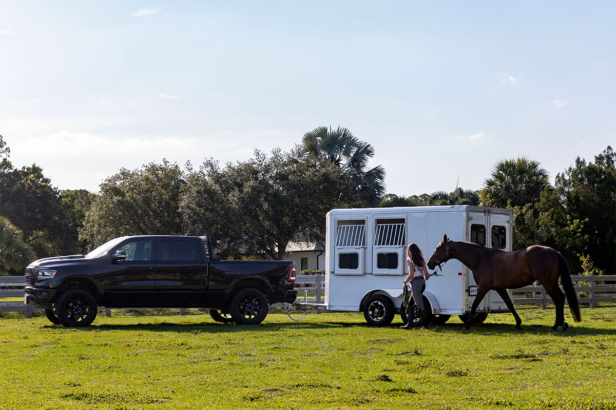 Horse Trailer Must-Have Accessories From ALCOM