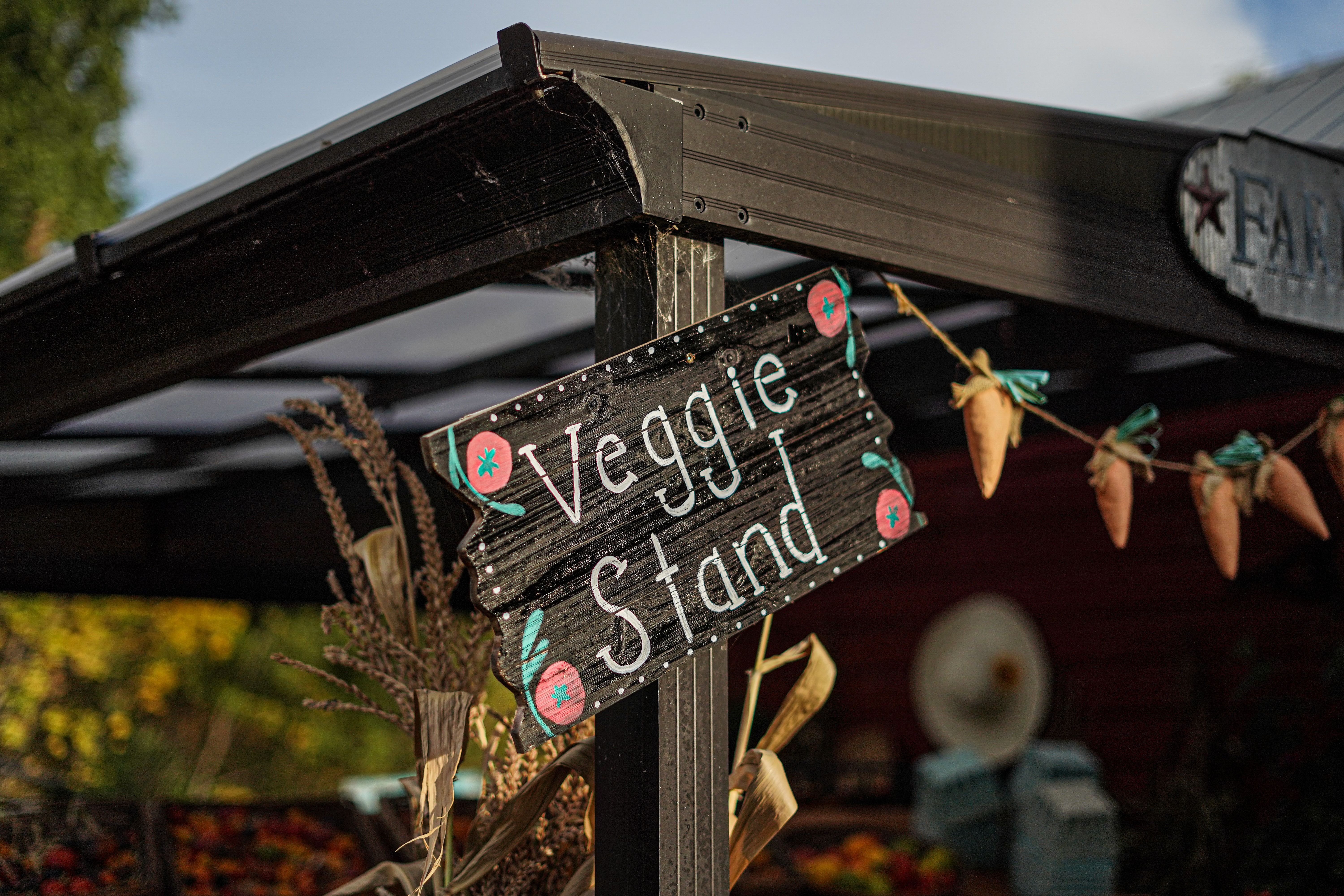 A farm stand canopy with a hand painted sign that says 